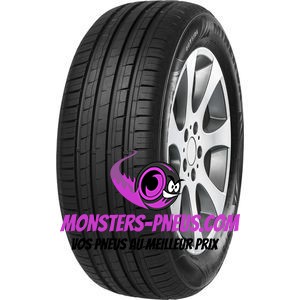 pneu auto Minerva F209 pas cher chez Monsters Pneus