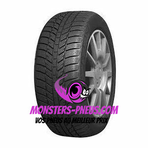 pneu auto Roadx RX Frost WH01 pas cher chez Monsters Pneus